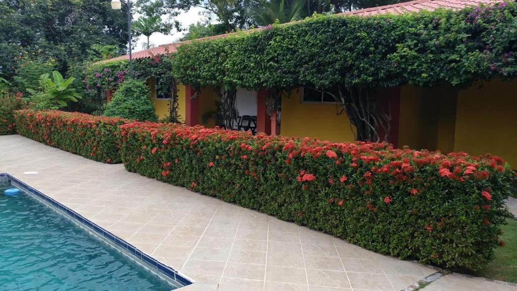 פלאייה קורונאדו Casa De Los Suenos B&B Coronado Panama מראה חיצוני תמונה