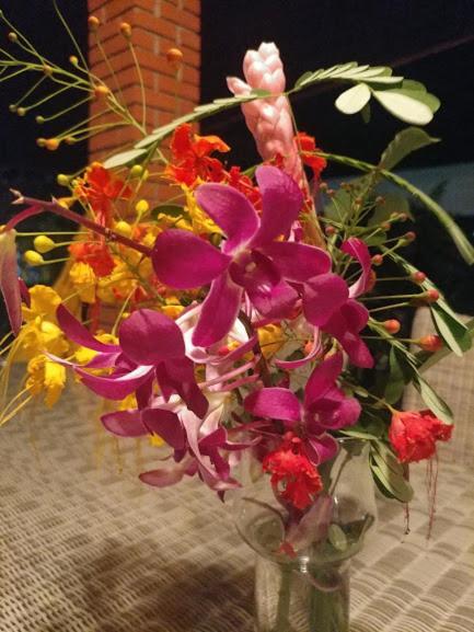 פלאייה קורונאדו Casa De Los Suenos B&B Coronado Panama מראה חיצוני תמונה